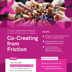 Co-creating from Friction: virtual leadership program